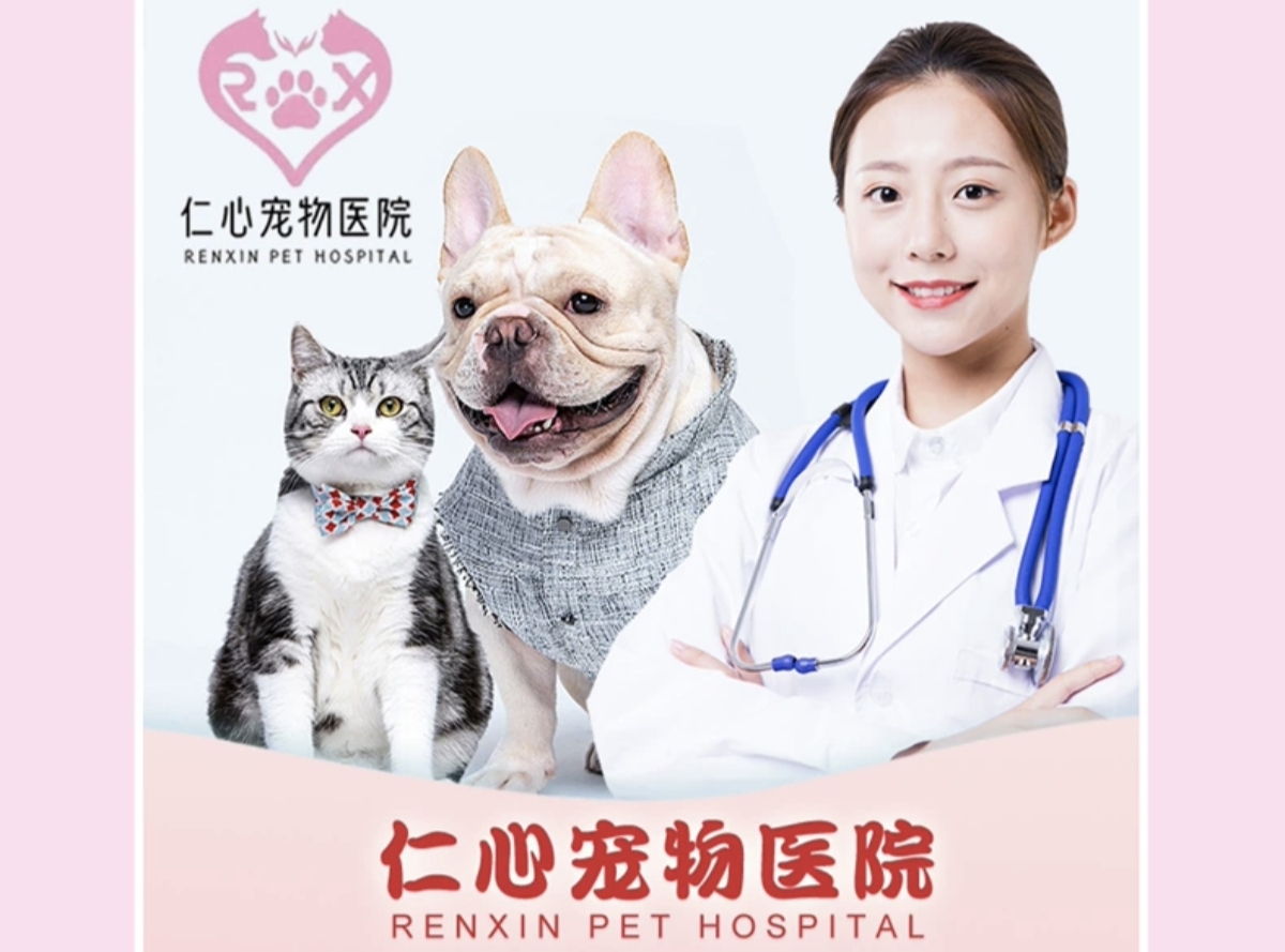 仁心连云港线上分站